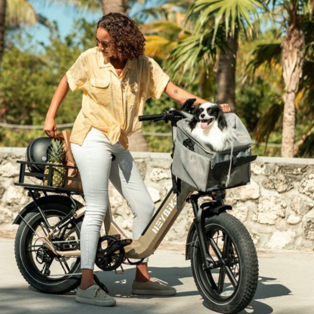Heybike - Ranger S Foldable Fat Tire Step-thru Ebike 55mi Max Range 28mph Max Speed - HBK RANS G